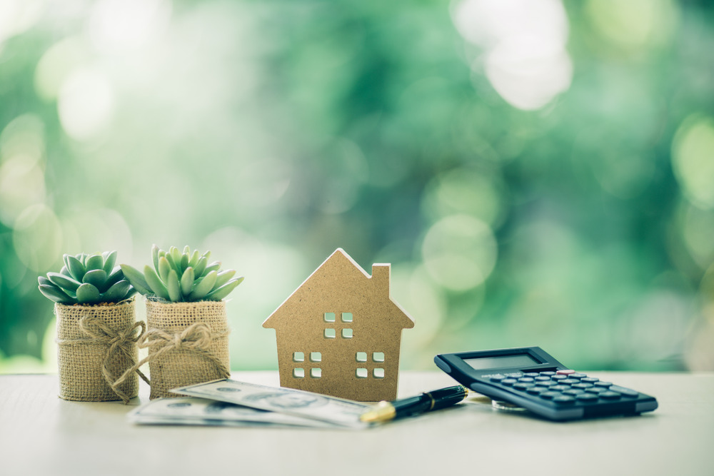 What is Amortization in a Home Loan Scenario | Mortgage Maestro